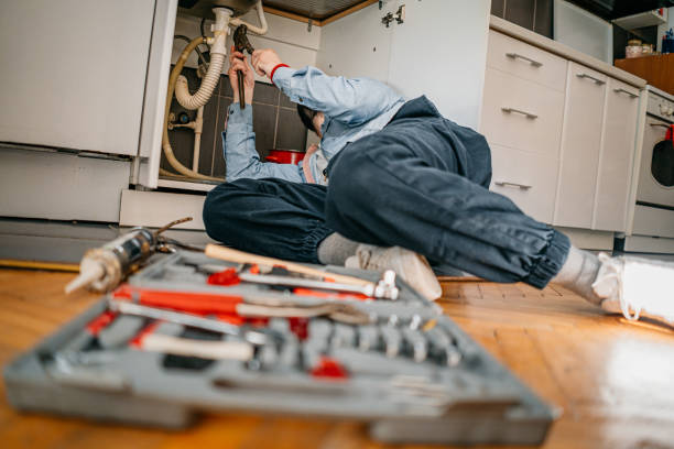 Best Faucet Repair  in Litchfield, MN