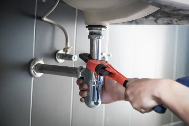 Best Sprinkler Systems  in Litchfield, MN